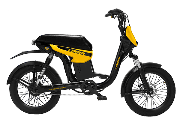 Vishwas electric vehicle